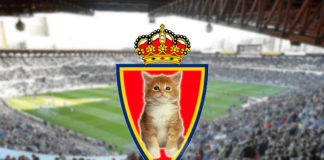 Sustituyen el león del escudo del Real Zaragoza por un inofensivo gatito